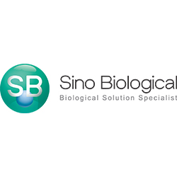 Sino biological